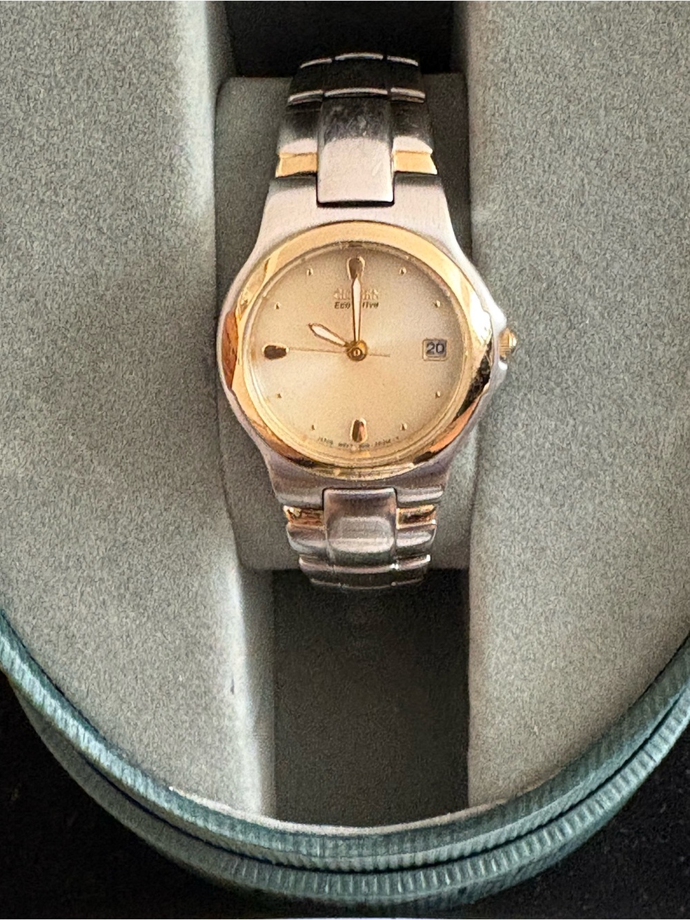 Women’s Citizen ECO-DRIVE Two-Tone Stainless Wristwatch in Silver and Gold
